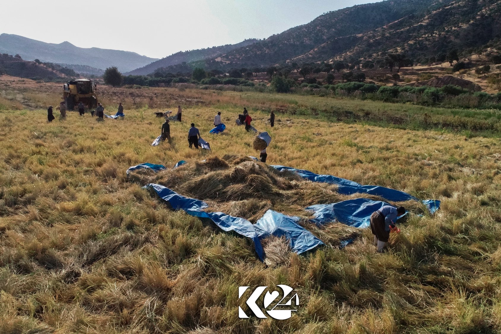 Berhemanîna birinca kurdî li parêzgeha Silêmaniyê zêde bûye